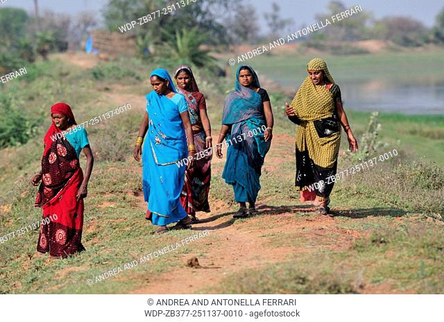 Local women in traditional sarees, Chambal Wildlife National Sanctuary, Dholpur, Rajasthan, India