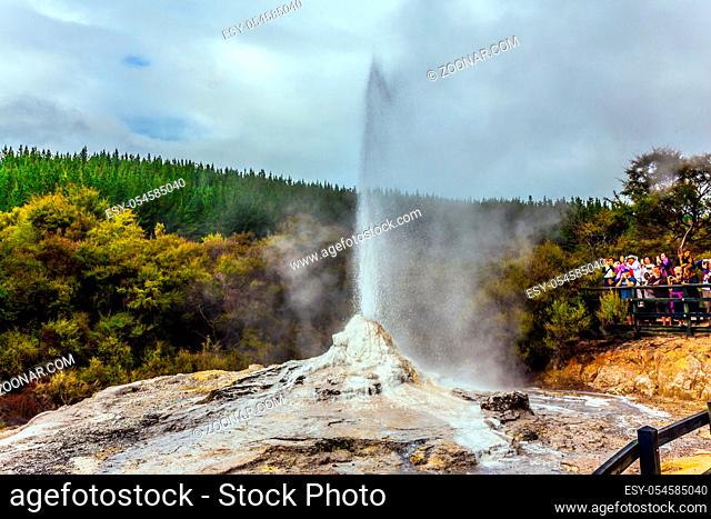 VALLEY OF GEYSERS ROTOROU, NEW ZEALAND - MARCH 24, 2018. The famous Lady Knox geyser