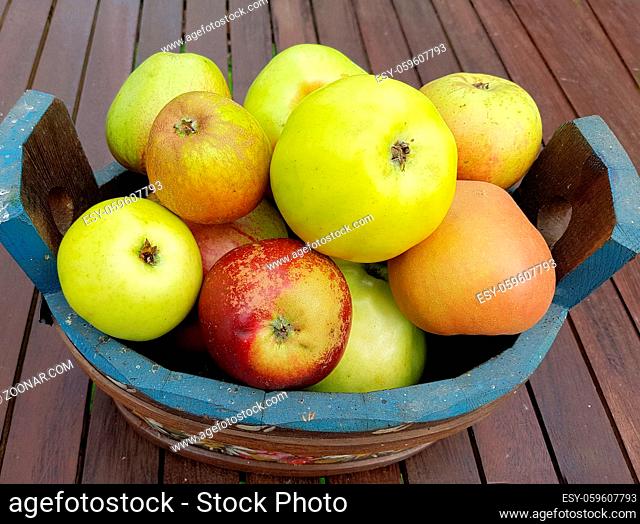Alte Apfelsorten, verschiedene, Apfel, Malus, domestica, Aepfel
