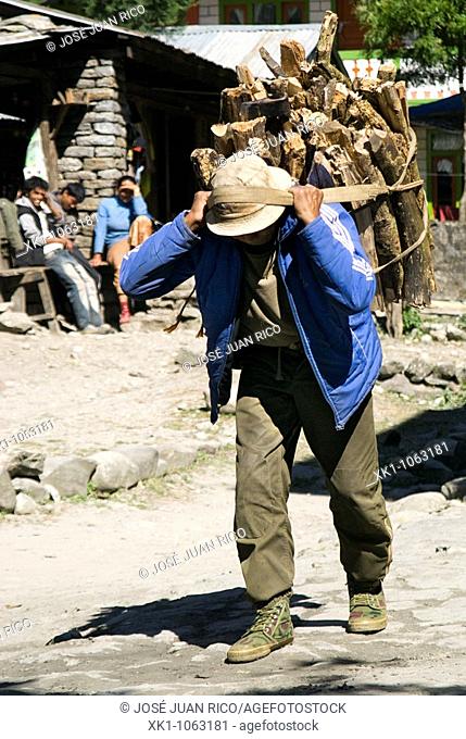Porteador cargando leña, Region Annapurnas, Nepal, Asia