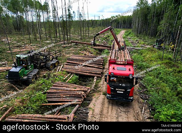 RUSSIA, VOLOGDA REGION - AUGUST 23, 2023: A lorry loads up at a timber site of Vozhega-Les, a logging company based in the village of Kadnikovsky and owned by...