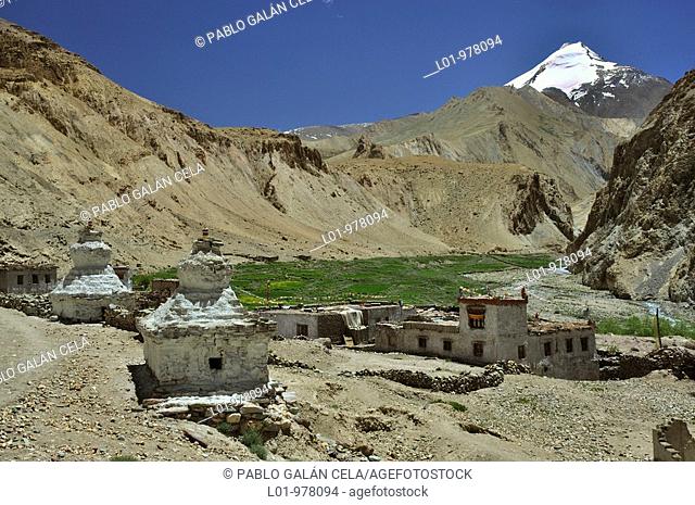 Hankar Gompa, valle del río Markha  Ladak India