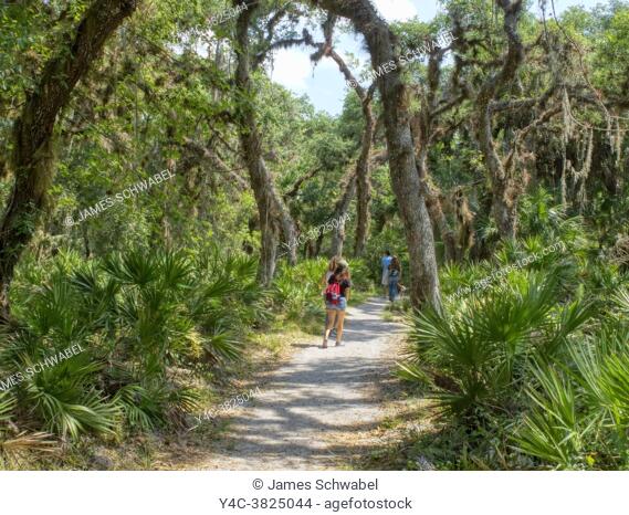 People on The William S Boylston Nature Trail is a 0. 9 mile lightly trafficked loop trail in Myakka River State Park in Sarasota Florida USA