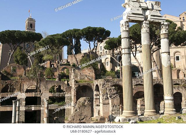 Italy, Rome, Roman Forum or Forum of Rome, archaeological site, main square of ancient Rome
