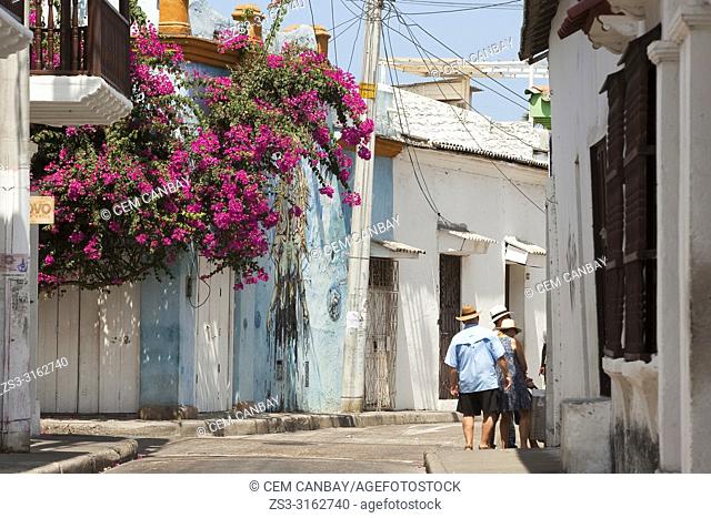 Tourists in front of the colonial buildings covered with bougainvilleas at the historic center, Cartagena de Indias, Bolivar, Colombia, South America