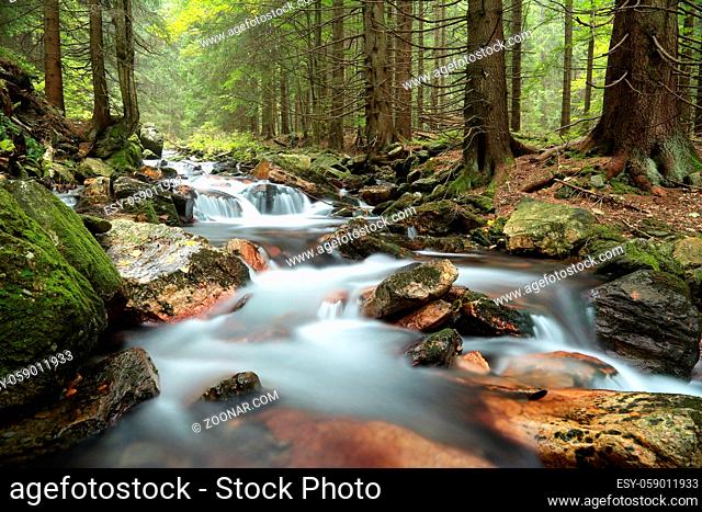Forest stream flowing down from the mountains, September, Poland