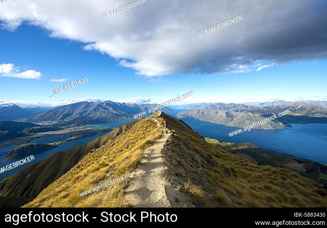 Hiker on a ridge, view of mountains and lake from Mount Roy, Roys Peak, Lake Wanaka, Southern Alps, Otago, South Island, New Zealand, Oceania
