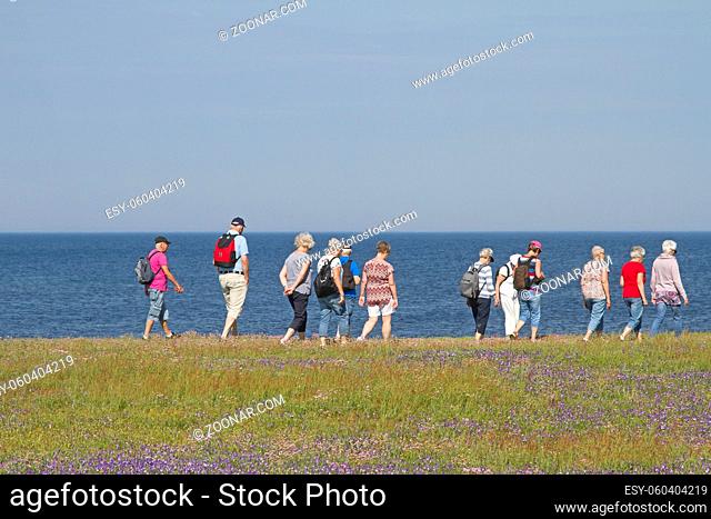 Viele Naturliebhaber wandern täglich durchs Naturreservat Morups Tange an der schwedischen Nordseeküste und erfreuen sich an der Flora und Fauna dieses Gebietes