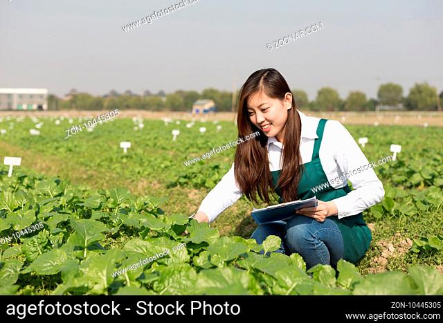 young pretty chinese woman in green vegetable field