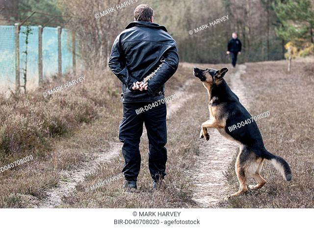 Sussex Police dog team