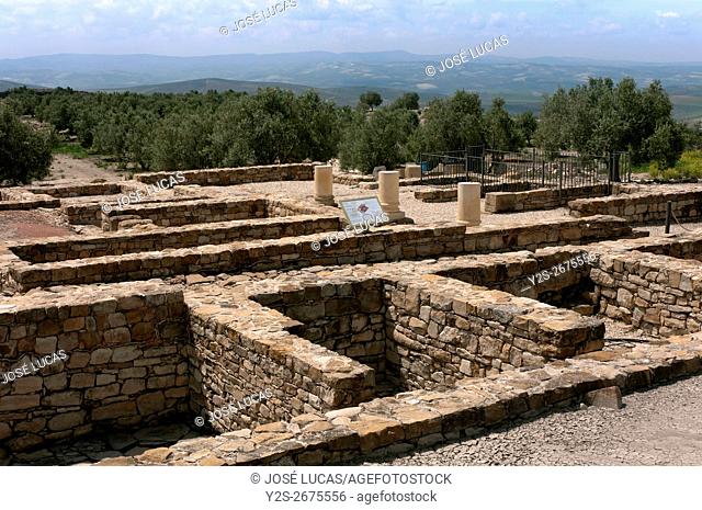 Torreparedones, iberian-roman archaeological park, Market (Macellum)-1st century, Baena, Cordoba province, region of Andalusia, Spain, Europe