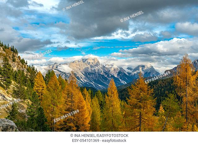 Colourful autumn panorama in the italian Dolomites near Cortina D'Ampezzo with yellow larches in the foreground and the Faloria mountain in the background
