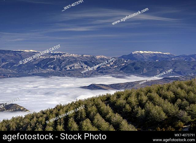 Sant Alís summit views in a winter morning on Montsec over a sea of clouds (Lleida province, Catalonia, Spain, Pyrenees)