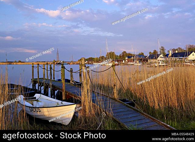 Gager harbor in evening light, M”nchgut peninsula, Ruegen, Mecklenburg-West Pomerania, Germany