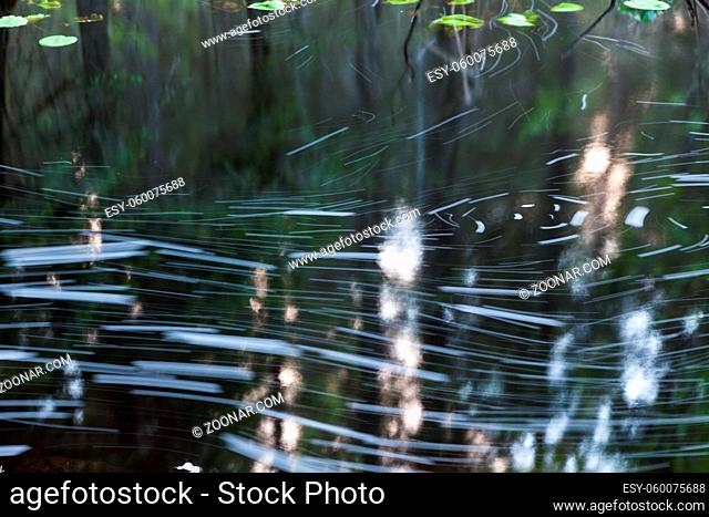 Small stream abstract in forest nature