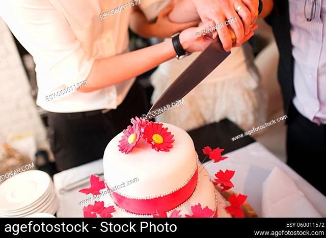 bride and a groom is cutting their wedding cake