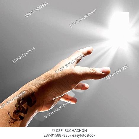 hand and dollar tattoo sign reach to the light