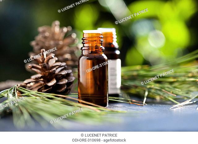 Essential oil pine