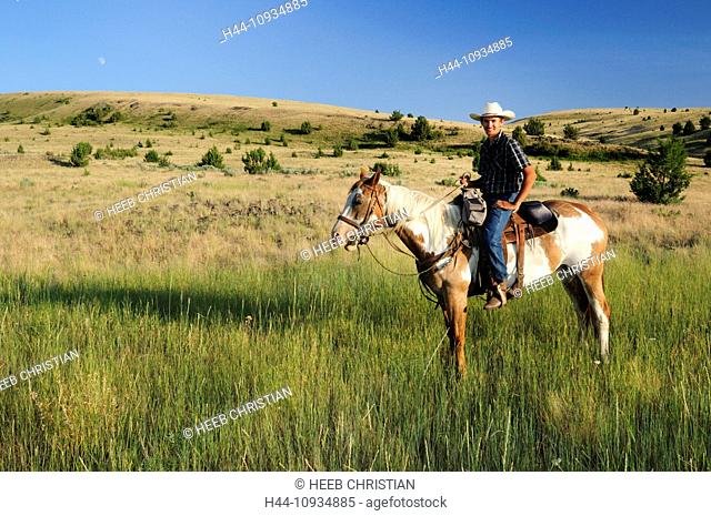 Pacific Northwest, Oregon, USA, United States, America, riding, horseback, sport, horse, ranch, cowboy, grass, green