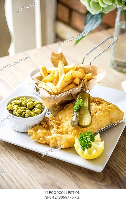 Gourmet fish and chips deep fried cod fillet in a beer batter with chips in a basket, gherkins pickle, mushy peas and half a lemon