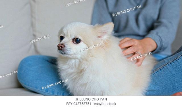 Woman touch on her pomeranian dog