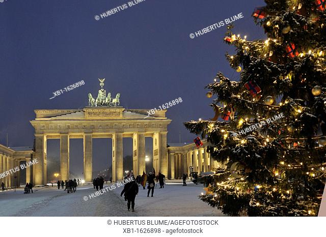Brandenburg Gate, view from Pariser Platz at Christmas time with Christmas tree and snow, Paris Square, Mitte district, Berlin, Germany, Europe