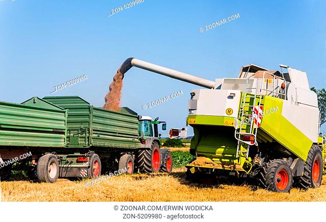 Ein Getreidefeld mit Weizen bei der Ernte. Ein Mähdrescher bei der Arbeit