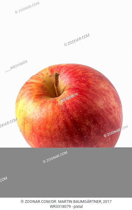 Apfelsorte