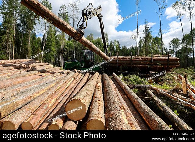 RUSSIA, VOLOGDA REGION - AUGUST 23, 2023: A log stacker operates at a timber site of Vozhega-Les, a logging company based in the village of Kadnikovsky and...