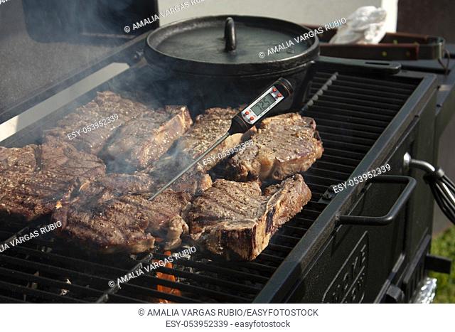 Cooking meat on the grill using gourmet specialty tools with thermometer at seventy-five point five degrees Celsius