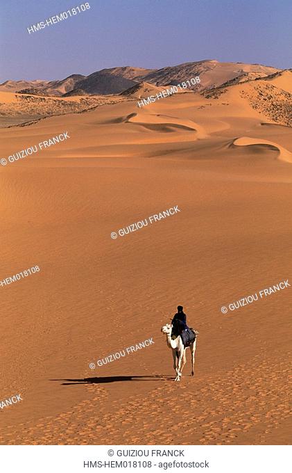 Niger, Sahara, Tenere desert, camel ride