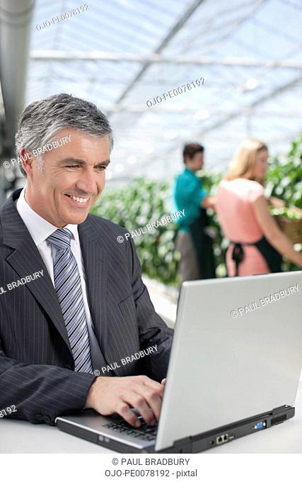 Businessman working on laptop in greenhouse
