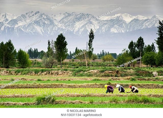 Farmers in Gansu province. China