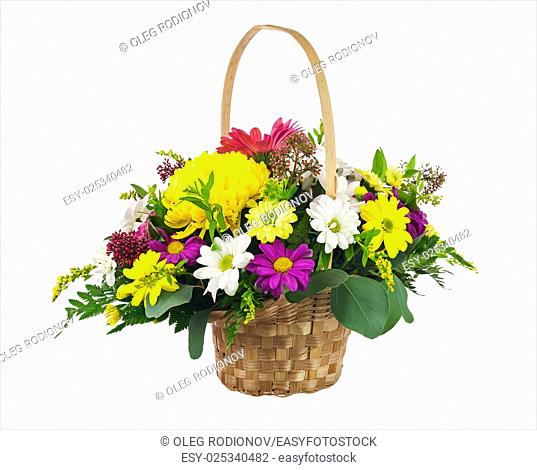 Flower bouquet from multi colored chrysanthemum and other flowers arrangement centerpiece in wicker basket isolated on white background