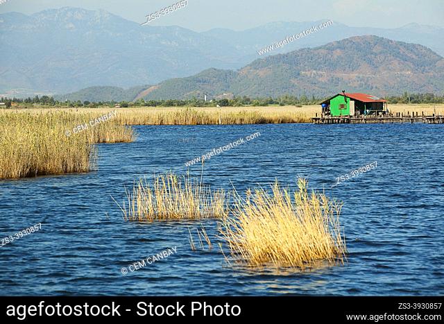 House between reeds in the nature preservation area on Dalyan River, Lake Koycegiz, Mugla Province, Aegean Region, Turkey, Europe
