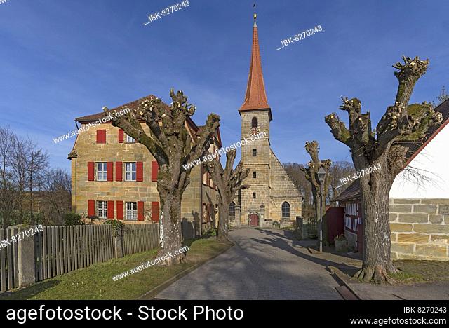 Trimmed large-leaved linden (Tilia platyphyllos) at St. Egidien Church, Beerbach, Middle Franconia, Bavaria, Germany, Europe