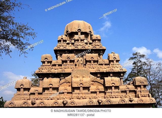 Dharmaraja Ratha and Pancha Rathas carved Monolith rock carving temples , Mahabalipuram , District Chengalpattu , Tamil Nadu , India UNESCO World Heritage Site