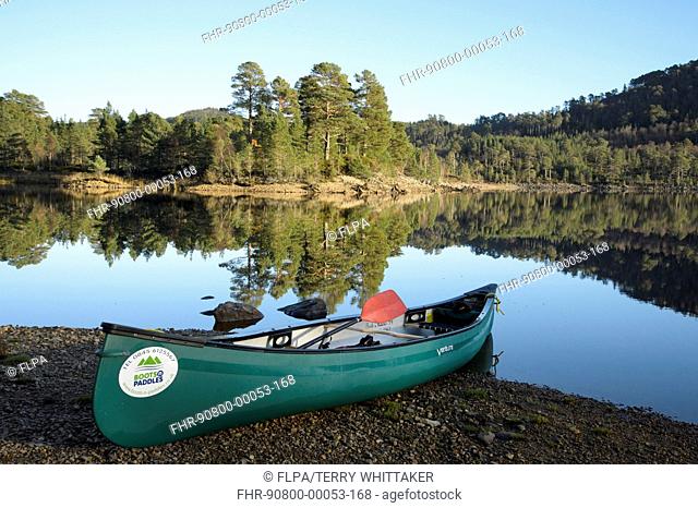 Canoe on shore of freshwater loch, with Scots Pine (Pinus sylvestris) forest in background, Loch Beinn a' Mheadhoin, Glen Affric, Inverness-shire, Highlands