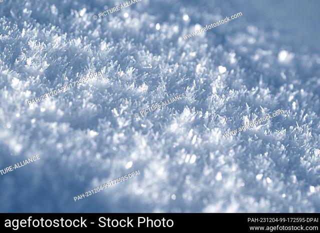 03 December 2023, Baden-Württemberg, Baiersbronn: Snow crystals glow in the sun on the Lothar Trail in the Black Forest National Park