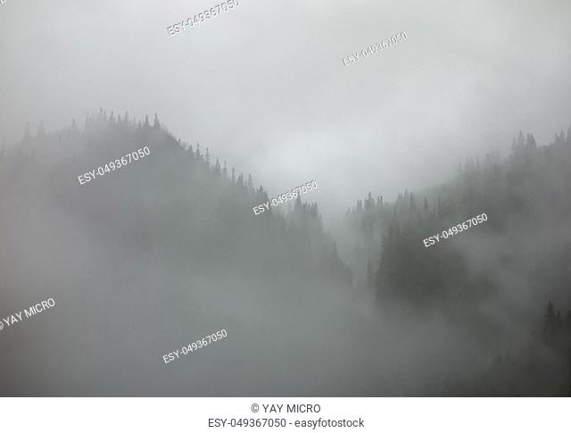 Dense fog and clouds covering forested valley in Norway