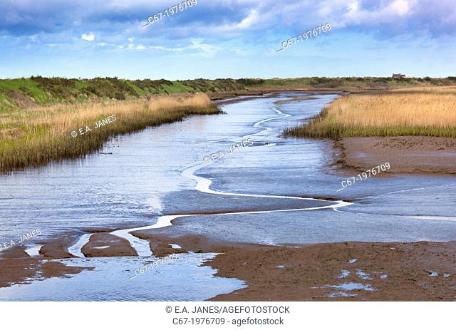 The Rspb Nature reserve at Titchwell Marsh Norfolk