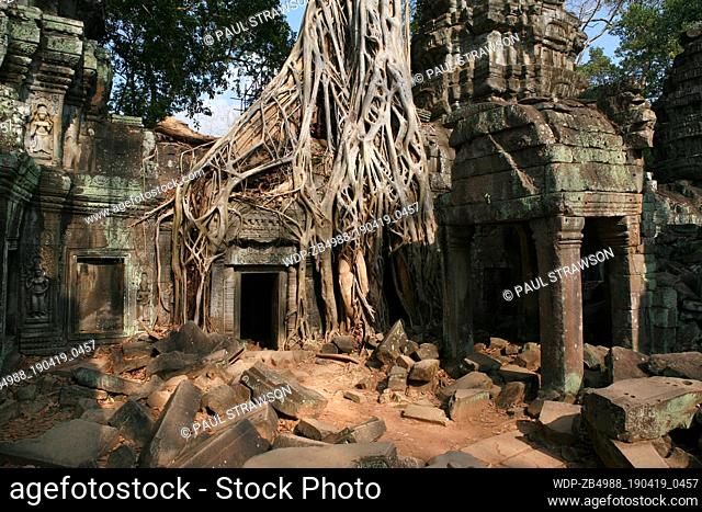 Ancient Ta Prohm temple overgrown by trees