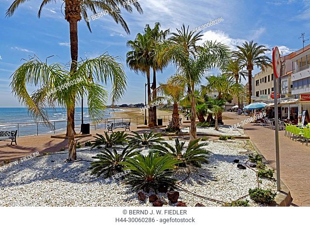 Spain, Valencia, Alcoceber, Calle Vista Alegre, bank promenade, palms, trees, plants, scenery, sea, water, place of interest, tourism, lanterns, places