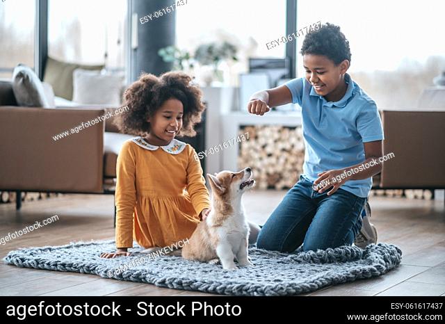 Pet. Two curly-haired kids playing with the puppy
