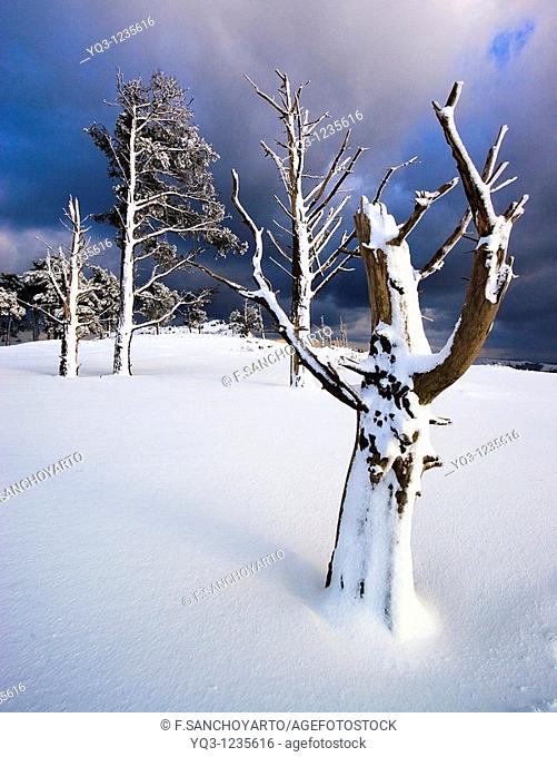 Snowy landscape, Monte Cerredo, Castro Urdiales, Cantabria, Spain