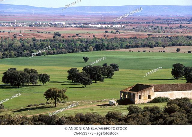 Cabañeros National Park. Ciudad Real province. Castilla-La Mancha. Spain