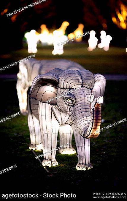 14 December 2021, Mecklenburg-Western Pomerania, Rostock: Illuminated elephants, photographed at a photo press event before the start of the ""Lichterzauber""...