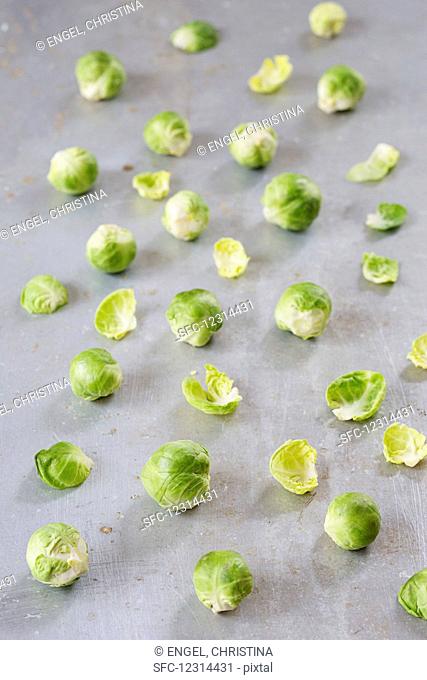 Strewn brussels sprouts on a metal sheet