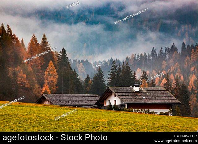 autumn landscape in Alpe de Siusi Sud Tyrol Italy