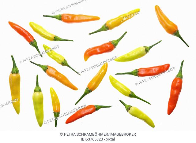 Chili peppers, various stages of ripeness, yellow, orange, red